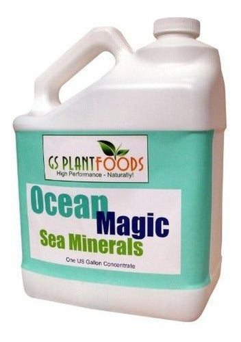 Minerales marinos mágicos del océano