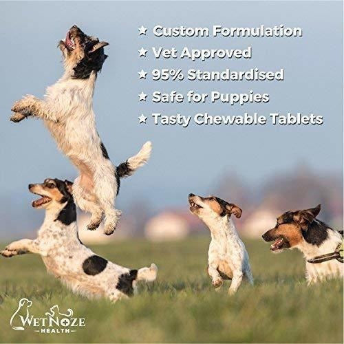 Complejo vitaminico para perros