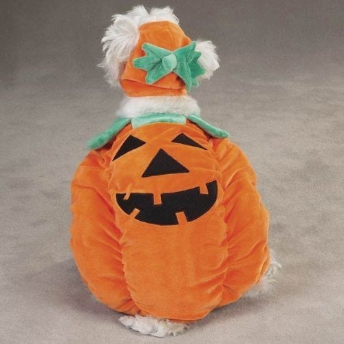 Disfraz De Perro Zack & Zoey Pumpkin Pooch, X-large, Naranja