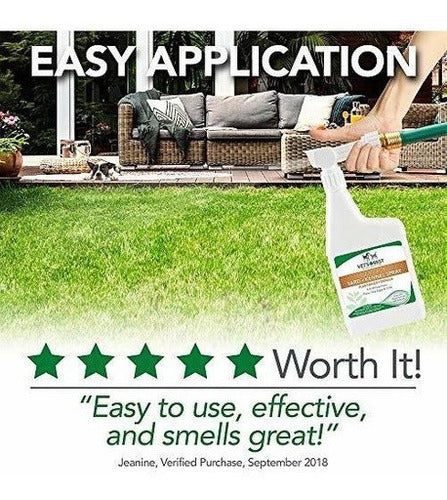 El Mejor Veterinario Para Pulgas Y Garrapatas Y El Aerosol