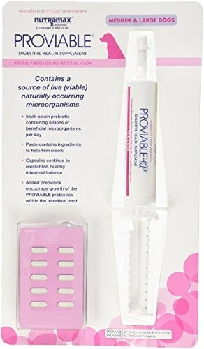 Kit Probióticos para perros, 30 ml