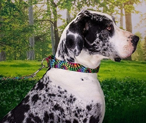 Country Brook Petz - Juego De Collar Y Correa Para Perros