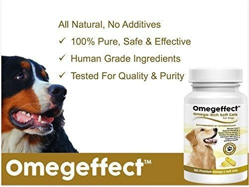 Aceite De Pescado 100% Puro Omega 3 Para Perros: Geles