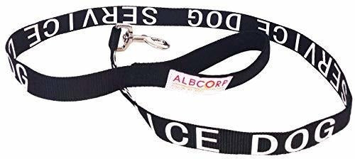 Correa acolchada para perro con asa de neopreno