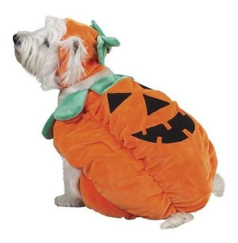 Disfraz De Perro Zack & Zoey Pumpkin Pooch, X-large, Naranja