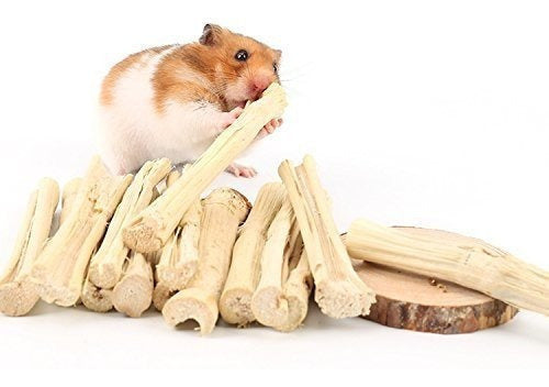 Bambú Dulce para mascotas