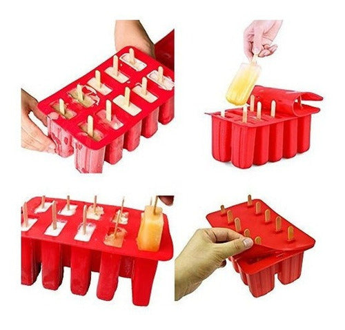 Moldes para paletas caseras fabricante de paletas de hielo