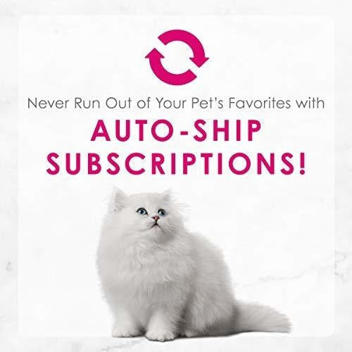 Purina Fancy Feast Kitten Comida húmeda enlatada para gatos