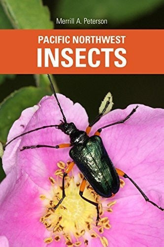 libro de Insectos Del Noroeste Pacifico