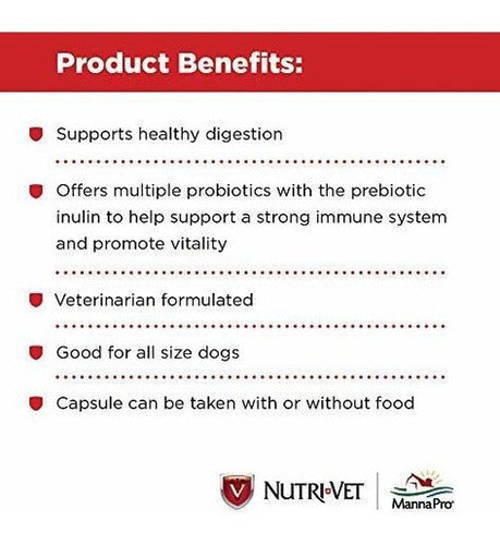 suplementos Para Perros