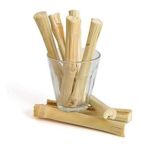 Bambú Dulce para mascotas