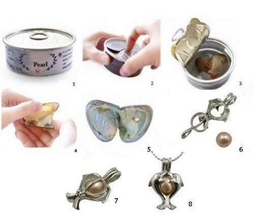 Kit De Collar De Ostras Perla Cultivada De Perla