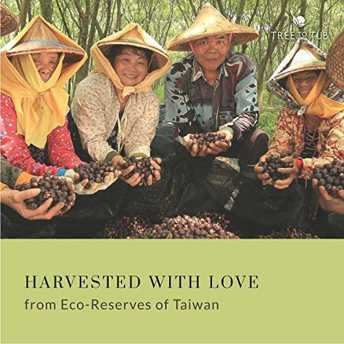 Champú De Cuero Cabelludo Equilibrado De Menta Ph 5.5