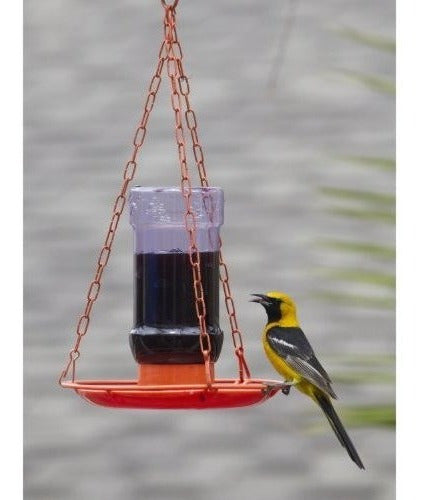 Comedero para pájaros silvestres