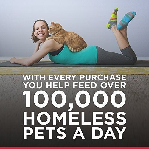 Hill's Science Diet Senior Comida Seca Para Gatos, Adulto