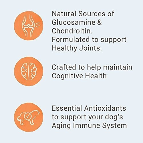 Nutro Wholesome Essentials Comida Para Perros De Raza Grande