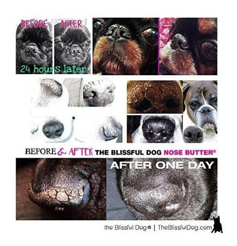 Mantequilla de nariz de perro para nariz de perro seca