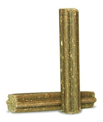 Suplemento De Soporte