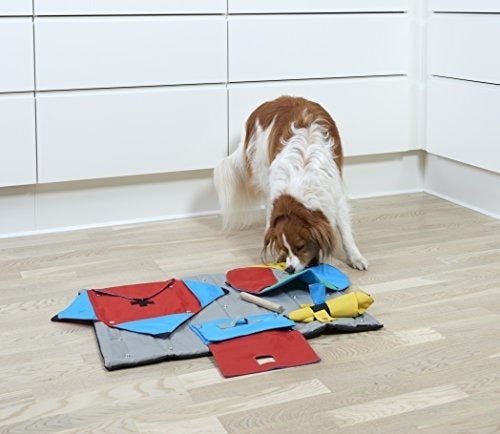 Juguete de iniciación para mascota