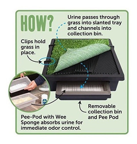 Almohadillas para cachorros, 3 opciones de tamaño para razas