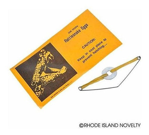 Broma De Serpiente De Cascabel Huevo Sobre Broma Juego De 6