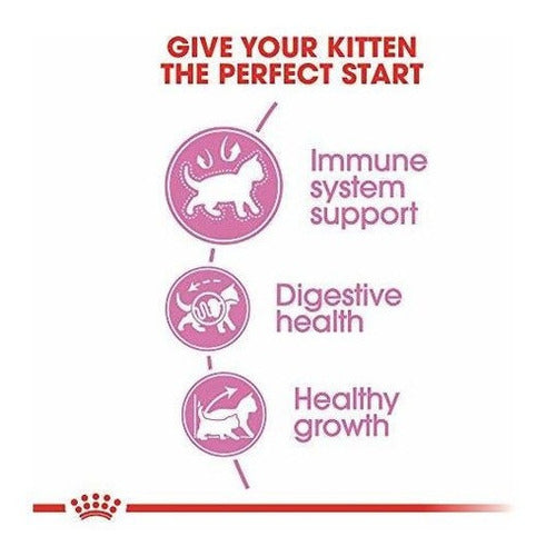 Royal Canin Feline Health Nutrition Alimentos Secos Para