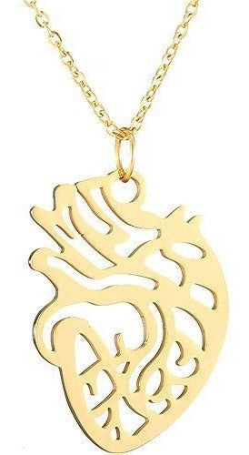 Collar De Anatomía Humana