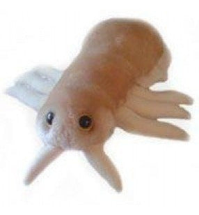 Kit De Ciencia De Microbios