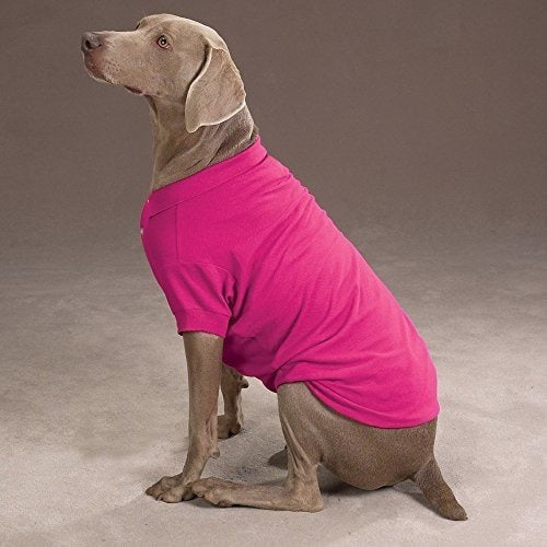 Polo De Algodón Para Perros, 8 X-small, Sorbete