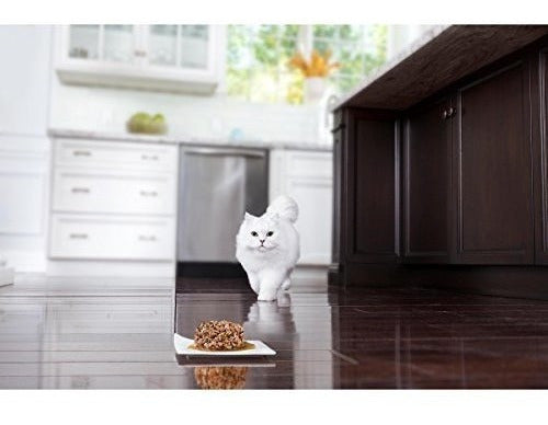 Purina Fancy Feast Comida humeda de Salmon para gatos