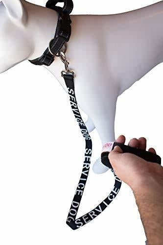 Correa acolchada para perro con asa de neopreno