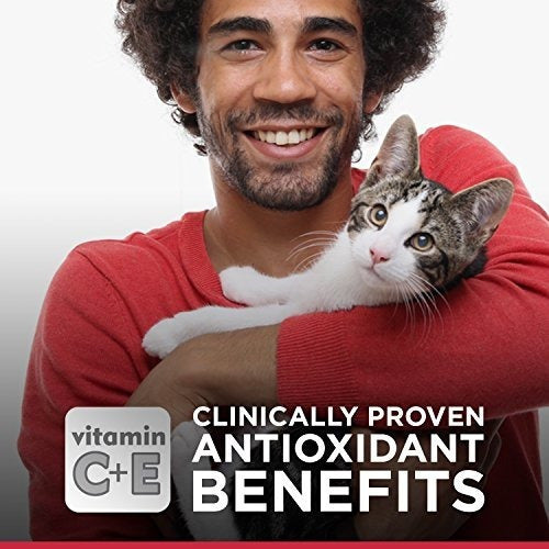 Hill's Science Diet Senior Comida Seca Para Gatos, Adulto