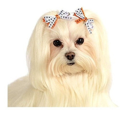 Accesorio para mascotas Halloween