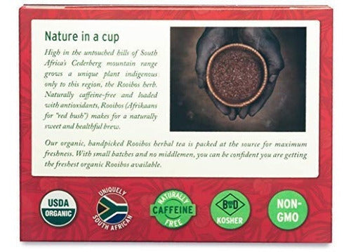 Tea 100 - Naturalmente Sin Cafeina