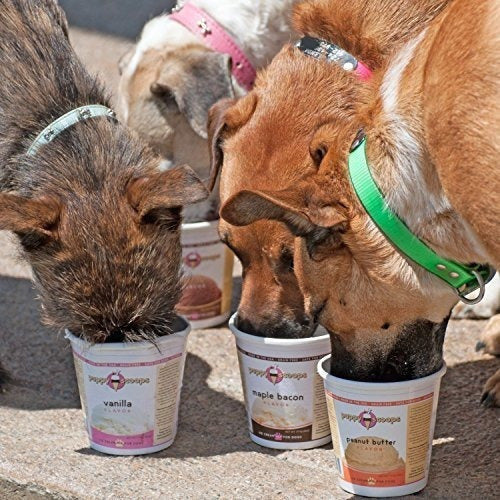 alimentos Para Perros