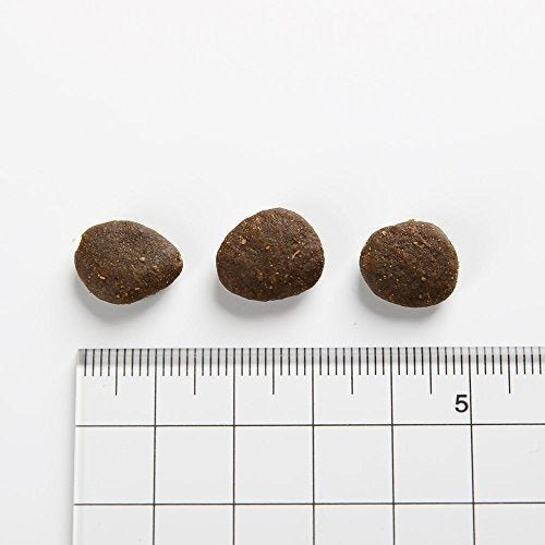 25 Libras Perro Mayor Orijen