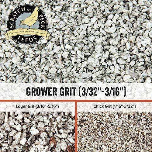 Alimentos Para Rascar Y Picotear