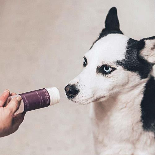 Kin Kind Nose and Paw, Crema Hidratante Orgánica Para