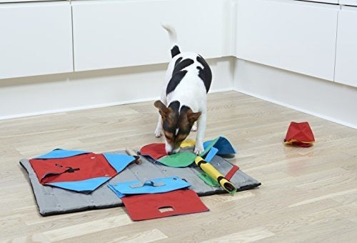 Juguete de iniciación para mascota