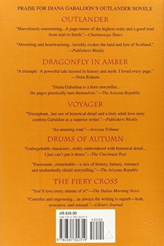 Libélula En Ámbar (forastera)