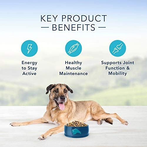 Protection Formula Alimento Para Perros