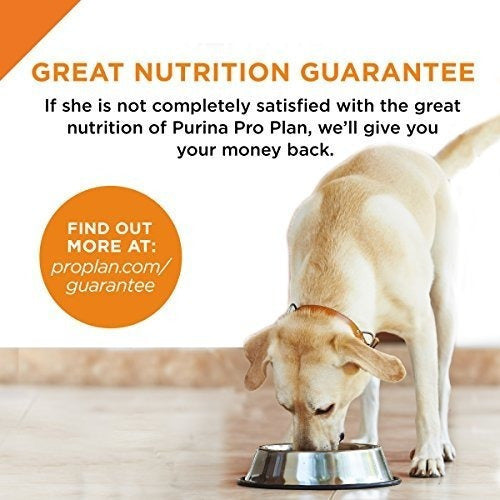 Purina Pro Plan Alimento Seco Para Perros Con Fórmula