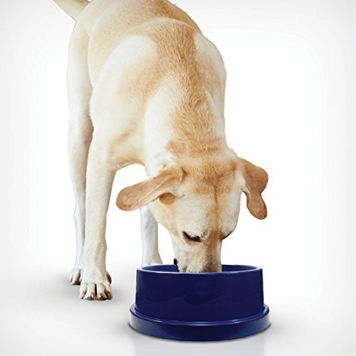 Comedero para perros, Mascotas 96oz.