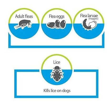 Spray Para Alfombras Y Tapicería Para Pulgas, Garrapatas Y