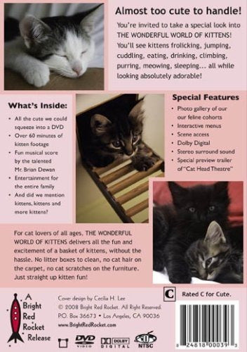 El Maravilloso Mundo De Los Gatitos