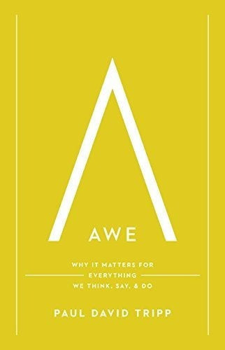 Asombro: Por Qué Importa Todo Lo Que Pensamos, Decimos Y Hacemos