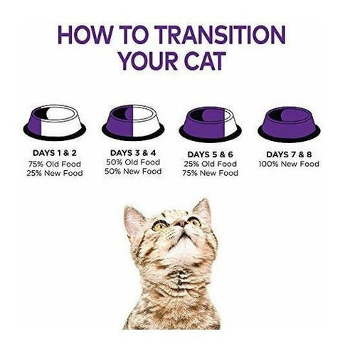 Wellness Complete Health Grano Natural, Comida Para Gatos