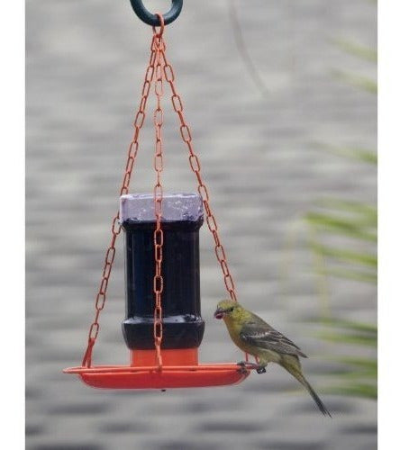 Comedero para pájaros silvestres