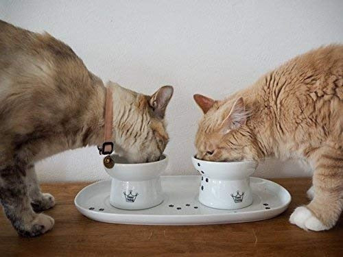 Bandeja Comedor doble para gatos