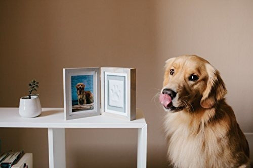 Recuerdo Pearhead Marco De Escritorio De Madera Envejecida